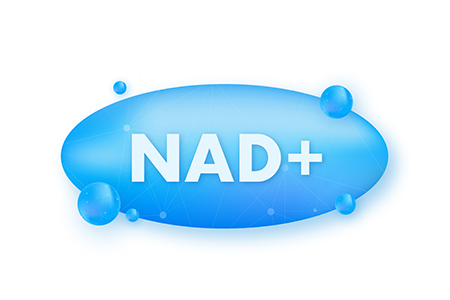Nicotinamide mononucleotide molecule NAD+.