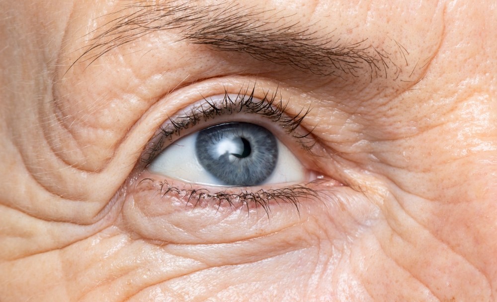 zoom photo of an old lady's wrinkled eyes